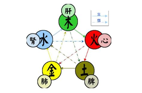 五行功效|五行（对万事万物的取象比类）